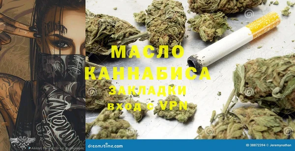 индика Болхов
