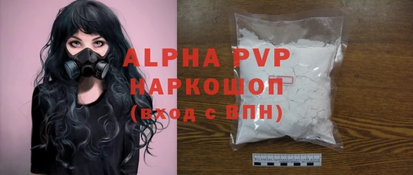 индика Болхов