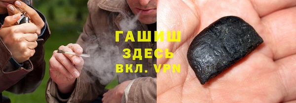 прущие грибы Надым