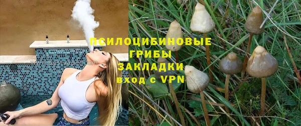 прущие грибы Надым