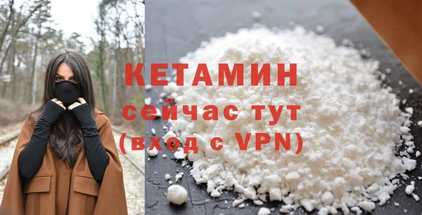 прущие грибы Надым