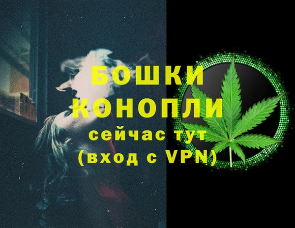 прущие грибы Надым