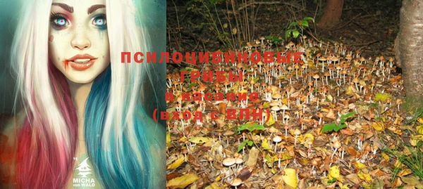 скорость Нея
