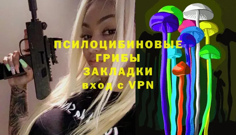 Псилоцибиновые грибы MAGIC MUSHROOMS  купить закладку  МЕГА ССЫЛКА  Уржум 